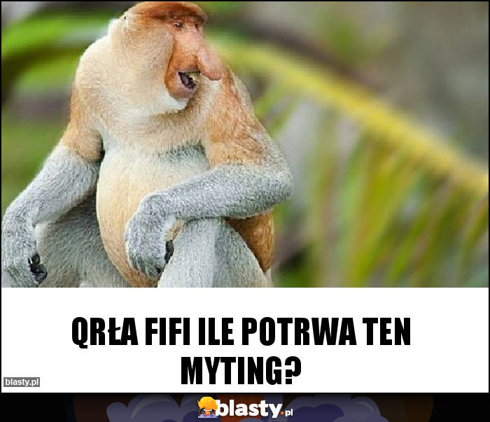 Qrła Fifi ile potrwa ten myting?