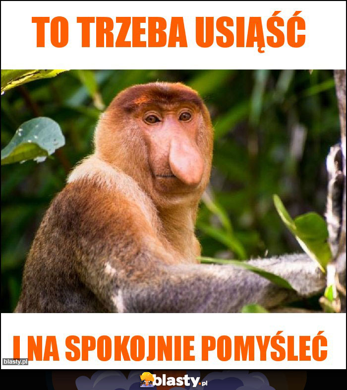 To trzeba usiąść