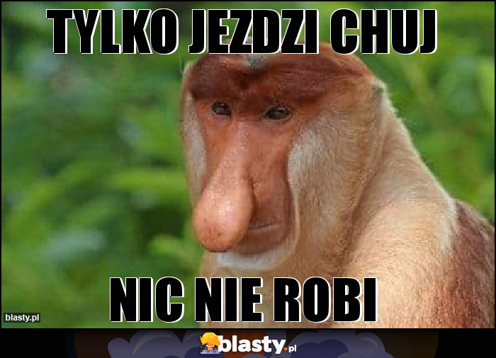 Tylko jezdzi chuj