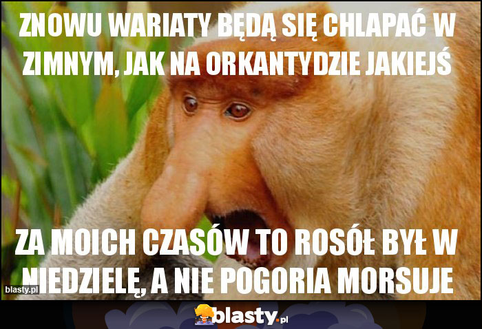 znowu wariaty będą się chlapać w zimnym, jak na orkantydzie jakiejś