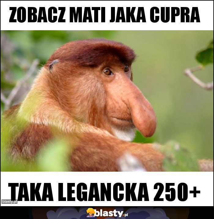 Zobacz mati jaka cupra