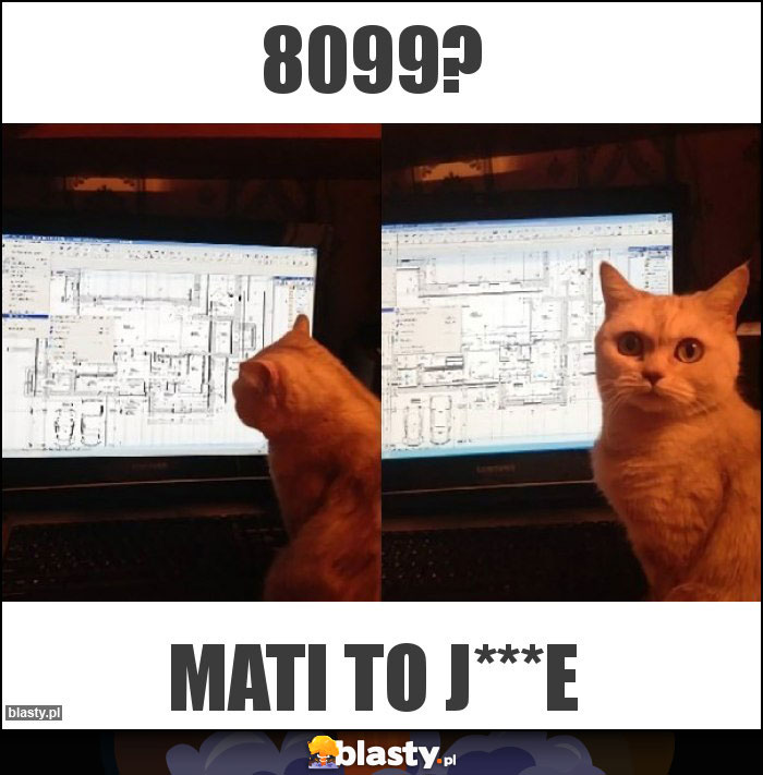 8099?