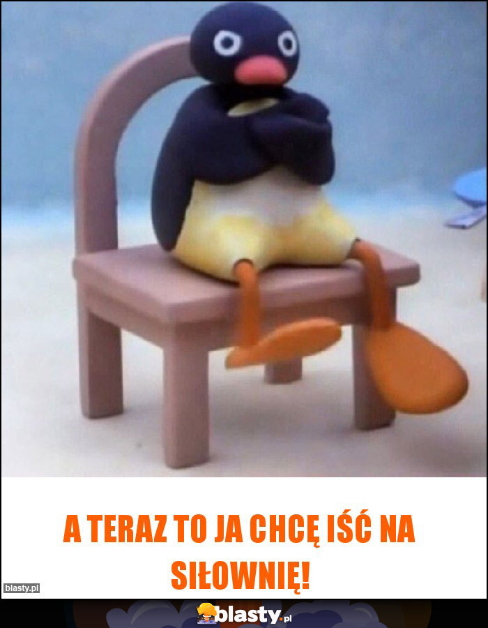 A TERAZ TO JA CHCĘ IŚĆ NA SIŁOWNIĘ!