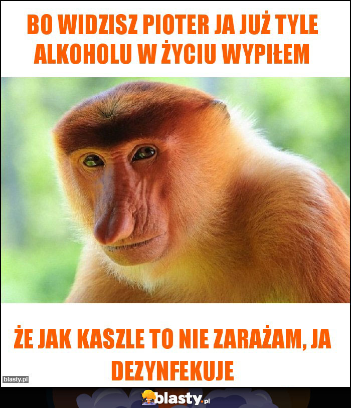 Bo Widzisz Pioter ja już tyle alkoholu w życiu wypiłem