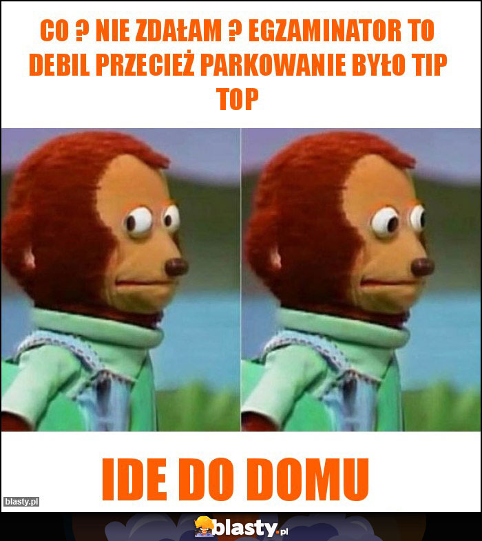 Co ? Nie zdałam ? Egzaminator to debil przecież parkowanie było tip top