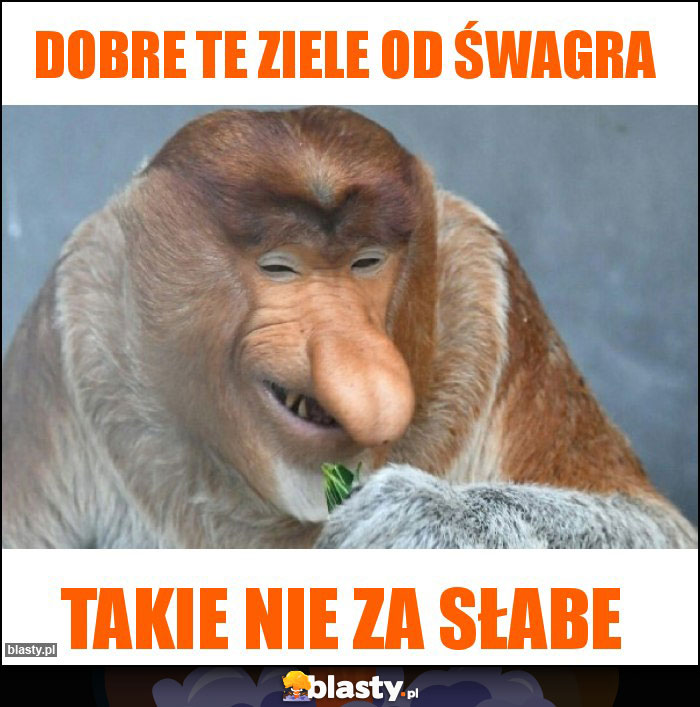 Dobre te ziele od Śwagra