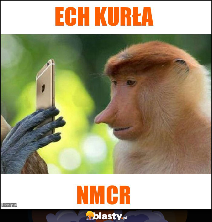 Ech kurła