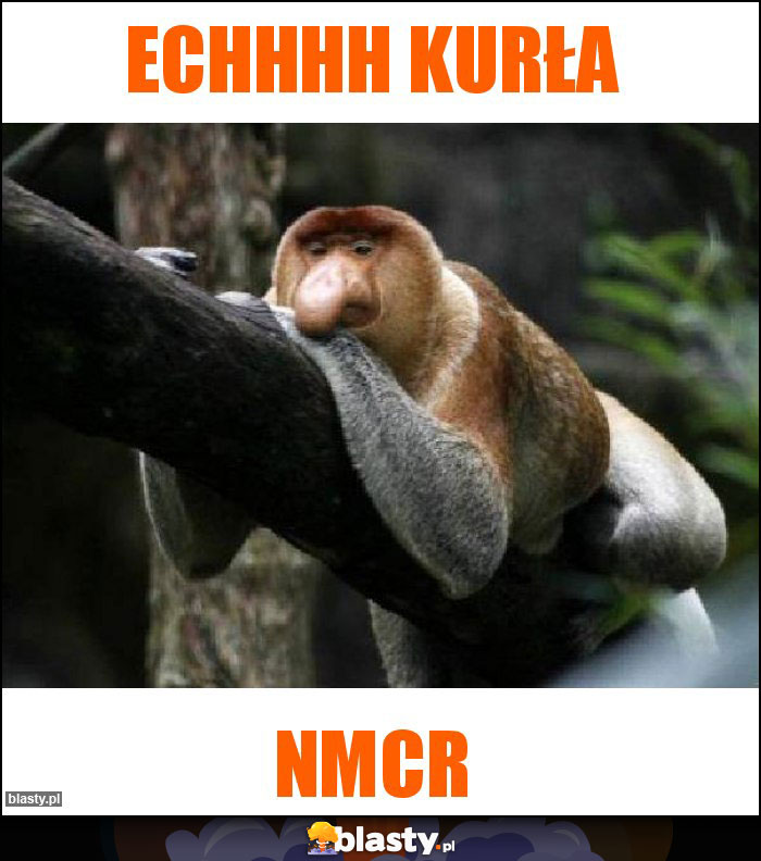 Echhhh kurła