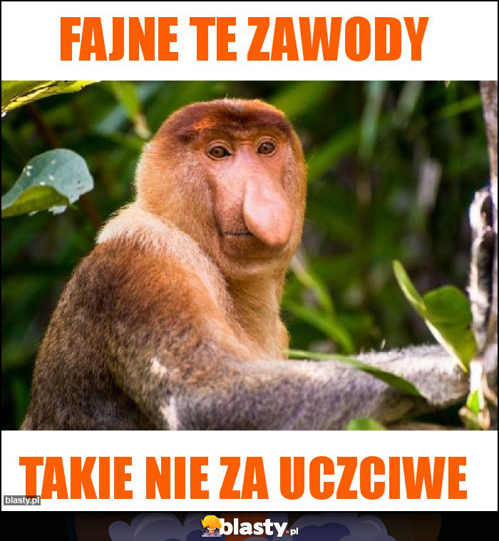 Fajne te zawody