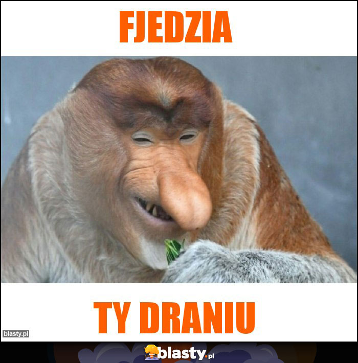 Fjedzia