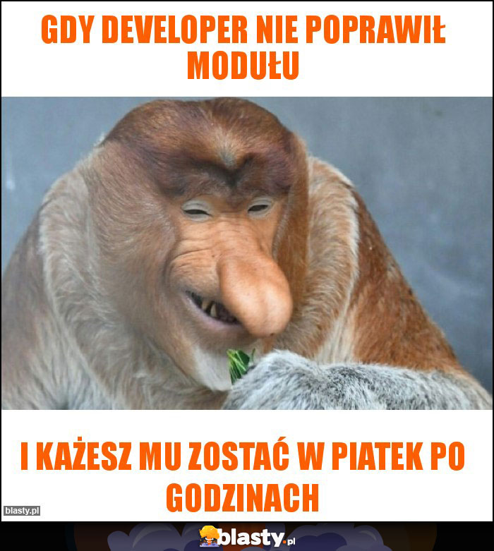 Gdy developer nie poprawił modułu