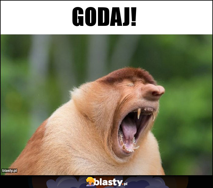 GODAJ!