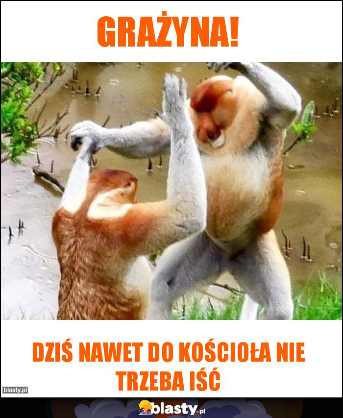 Grażyna!