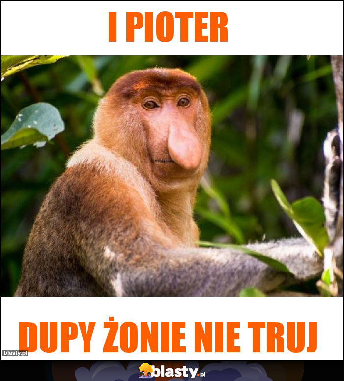 I pioter