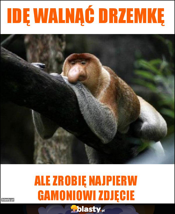 Idę walnąć drzemkę