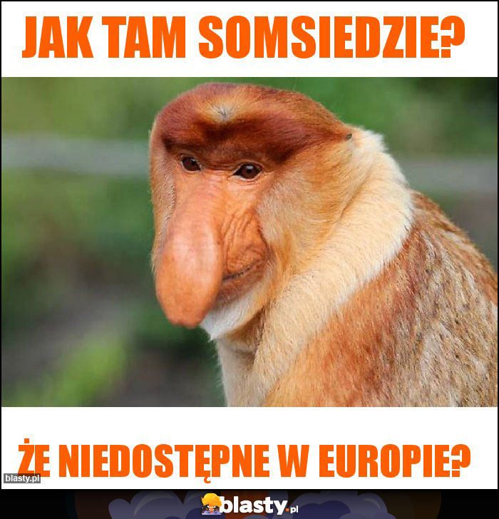 Jak tam somsiedzie?