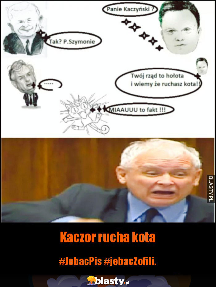 Kaczor rucha kota