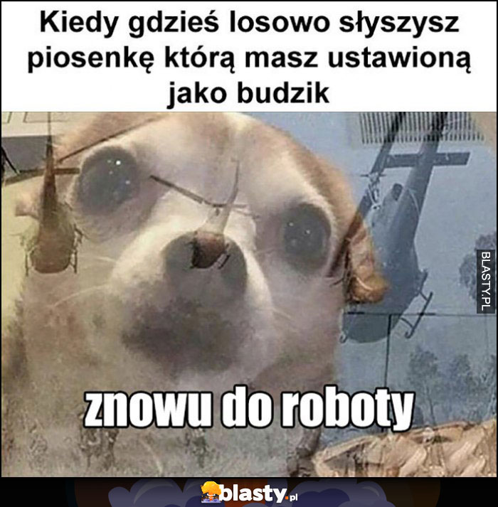 Kiedy gdzieś losowo słyszysz piosenkę, którą masz ustawioną jako budzik, pies wspomnienia znowu do roboty