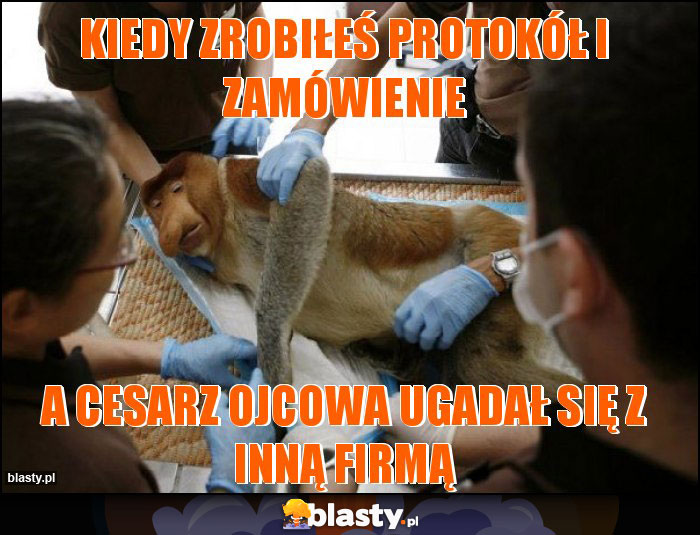 kiedy zrobiłeś protokół i zamówienie