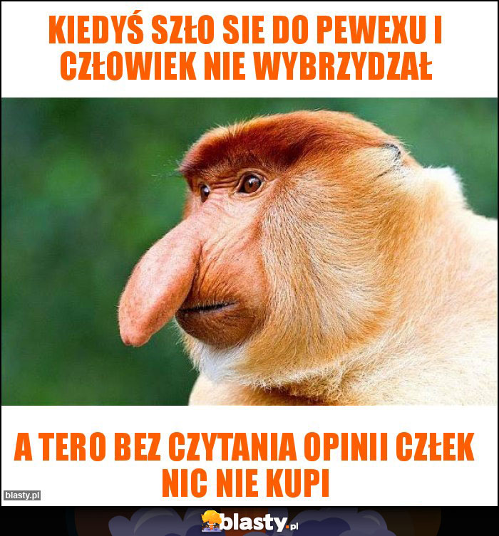 kiedyś szło sie do pewexu i człowiek nie wybrzydzał