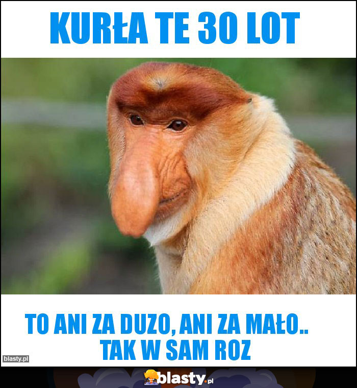 Kurła te 30 lot