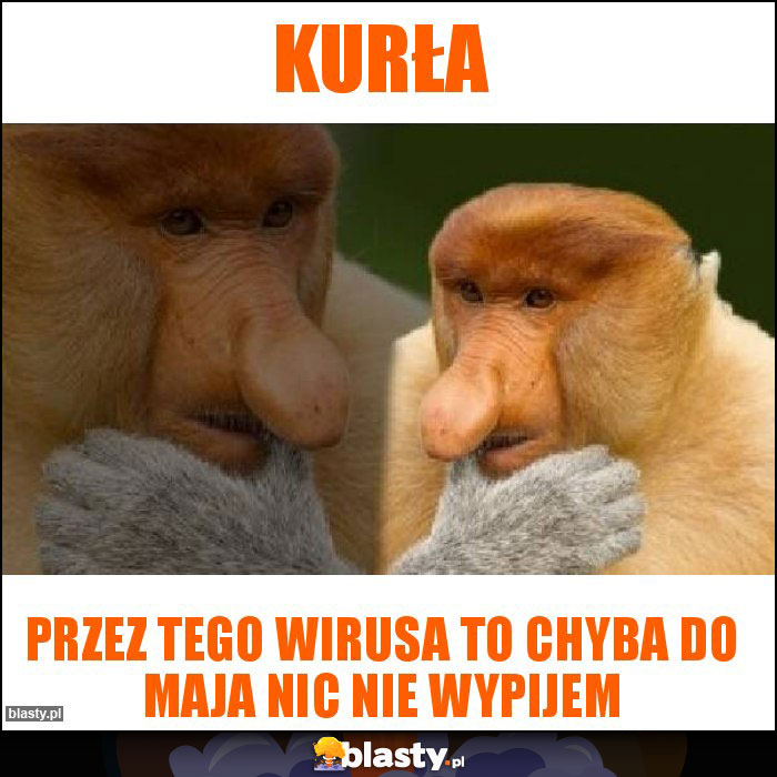 Kurła