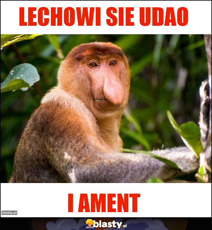 Lechowi sie udao