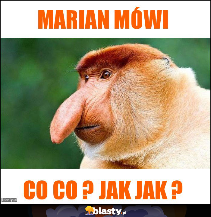 MARIAN MÓWI