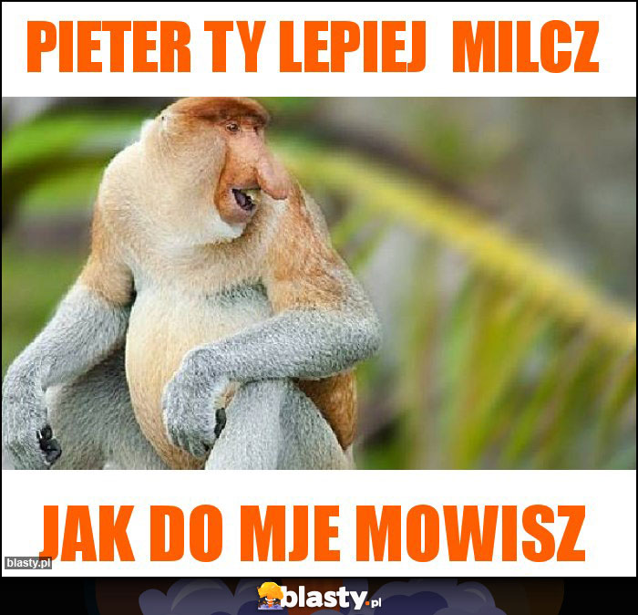 Pieter Ty lepiej  milcz