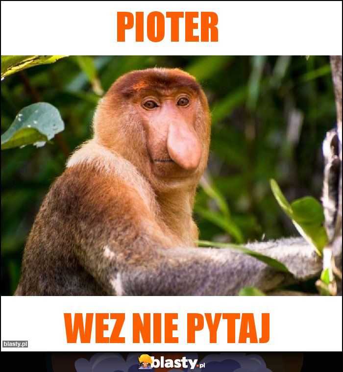 Pioter