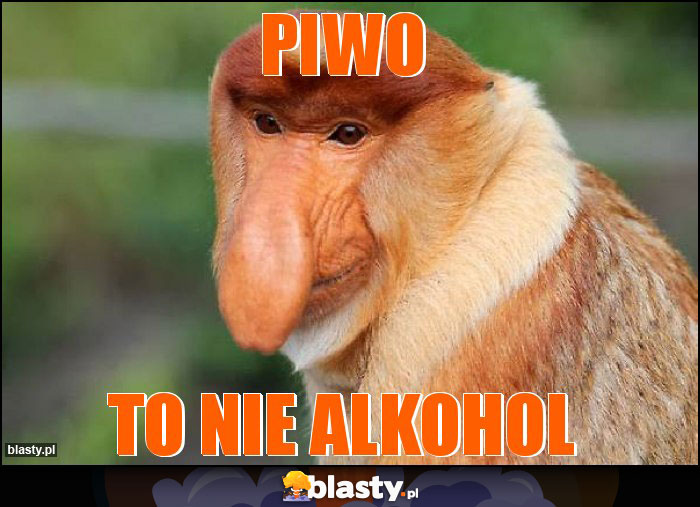 Piwo