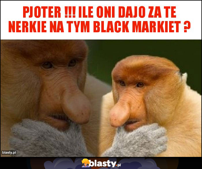 Pjoter !!! ile oni dajo za te nerkie na tym black markiet ?