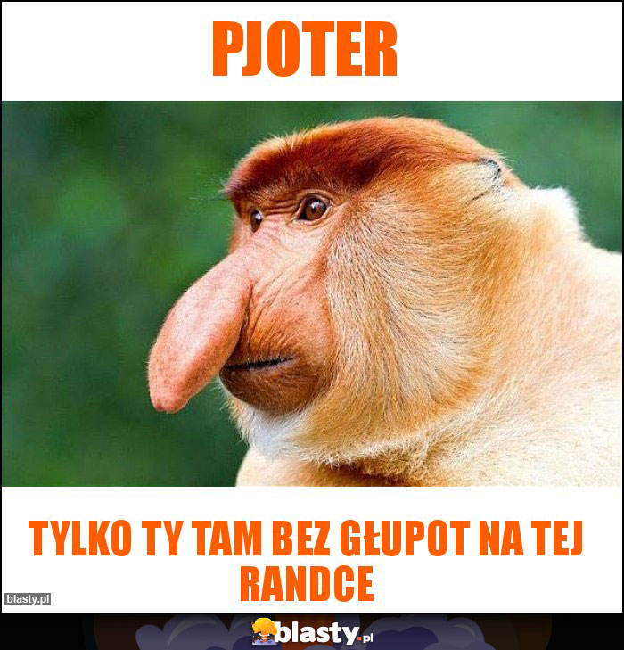 Pjoter