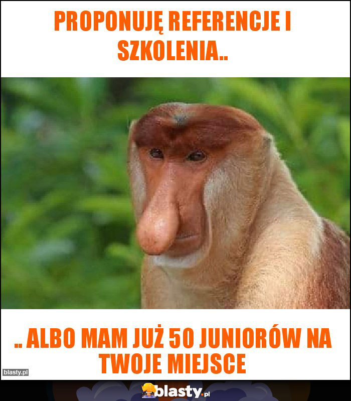 Proponuję referencje i szkolenia..