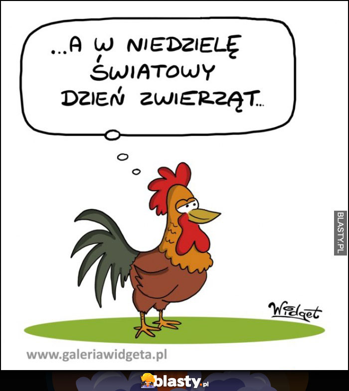 Światowy Dzień Zwierząt
