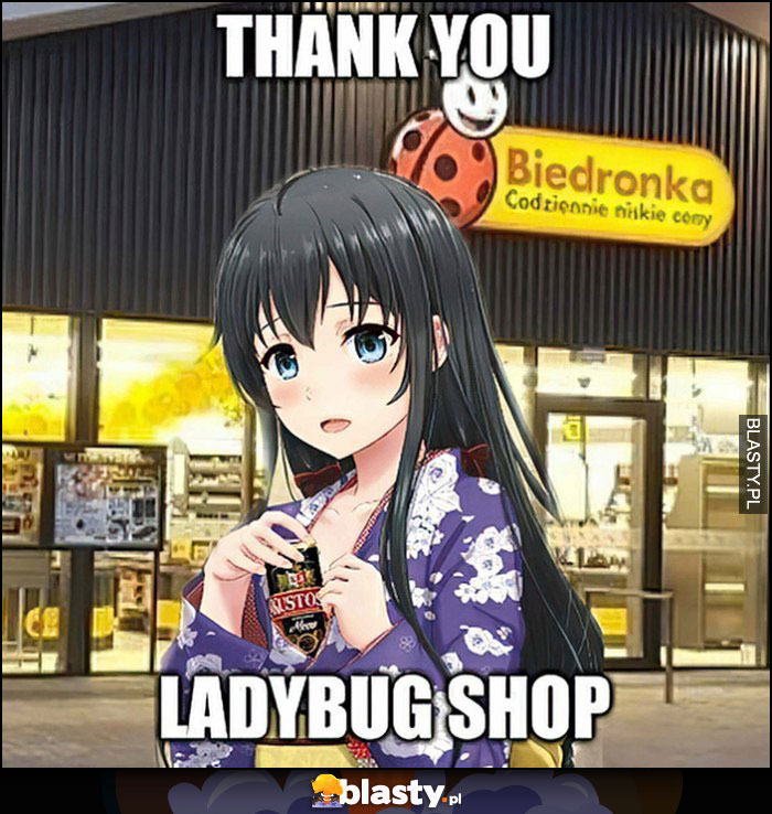 Thank you ladybug shop Biedronka Kustosz