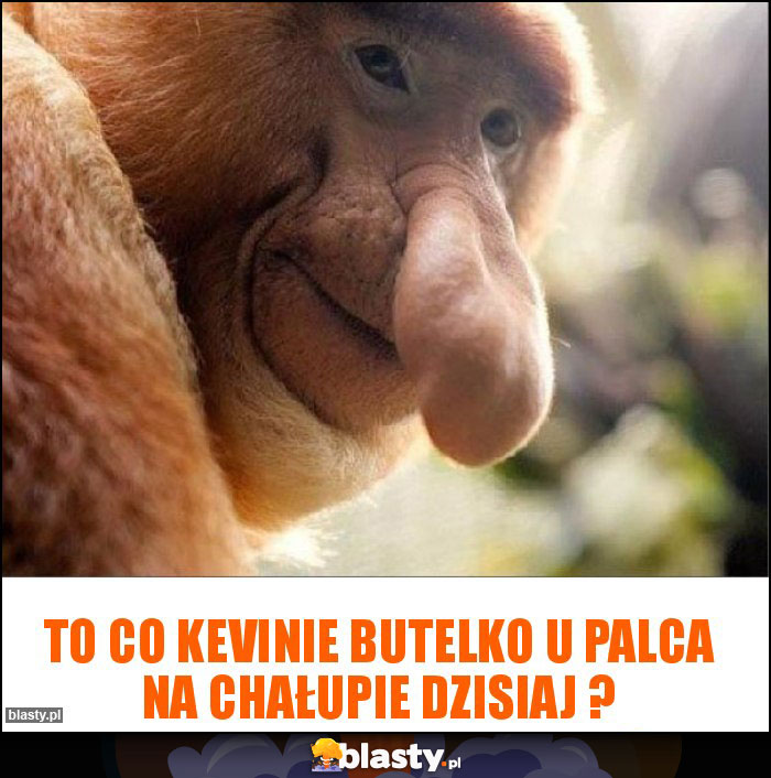 to co kevinie butelko u palca na chałupie dzisiaj ?