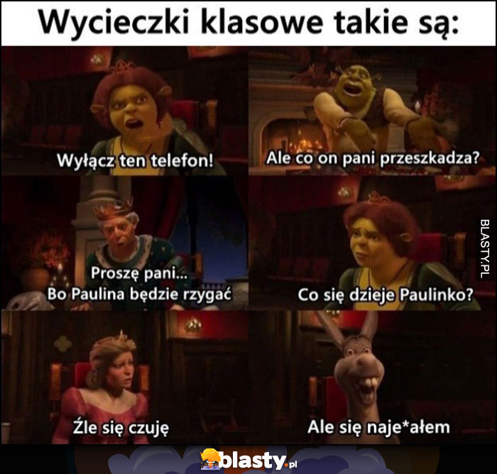 Wycieczki klasowe takie są sceny ze Shreka