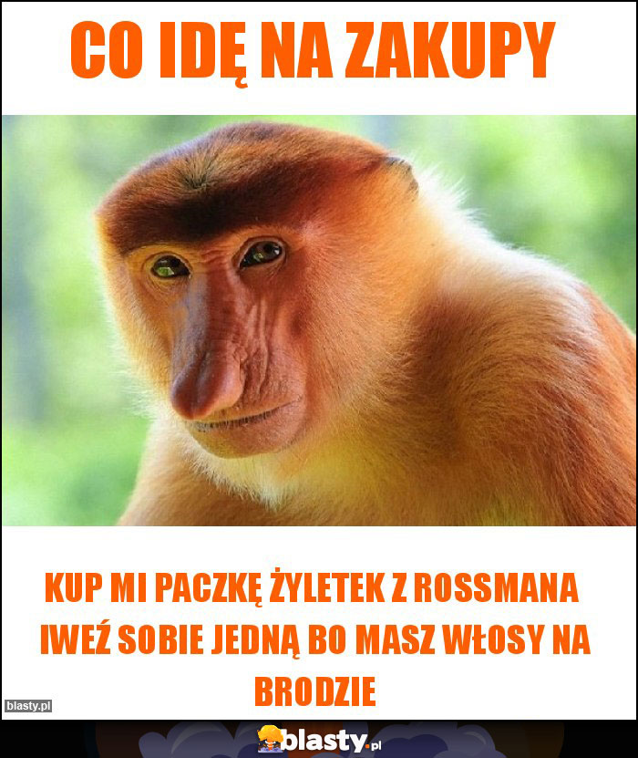 Co idę na zakupy