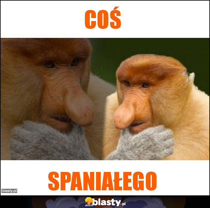 Coś