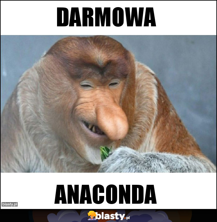 DArmowa