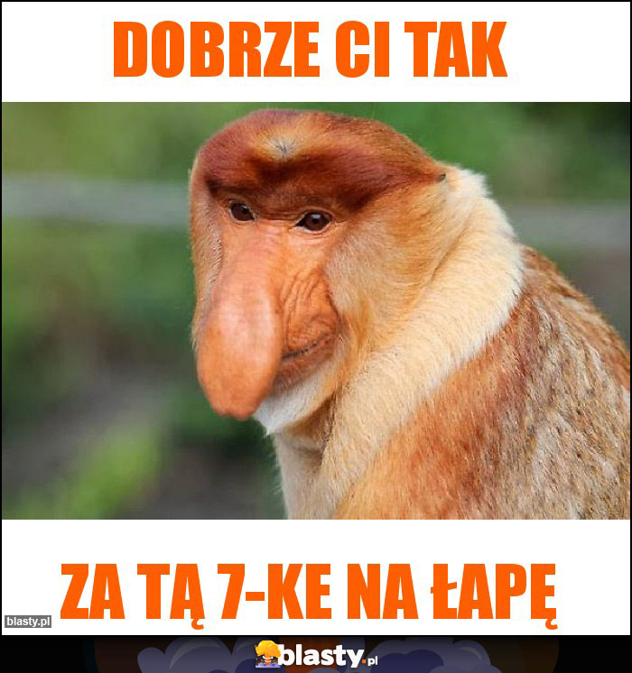 Dobrze ci tak