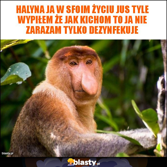 Halyna ja w sfoim życiu jus tyle wypiłem że jak kichom to ja nie zarazam tylko dezynfekuje