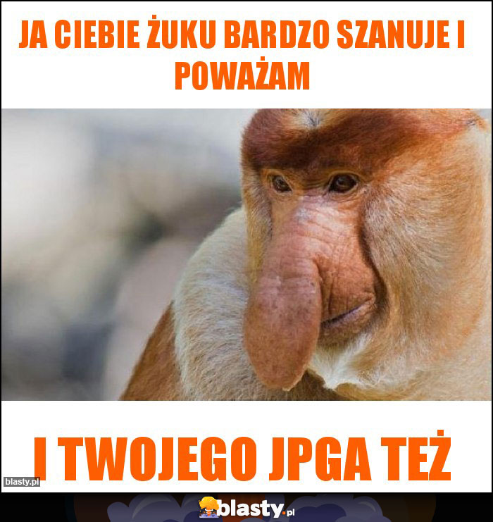 Ja ciebie Żuku bardzo szanuje i poważam