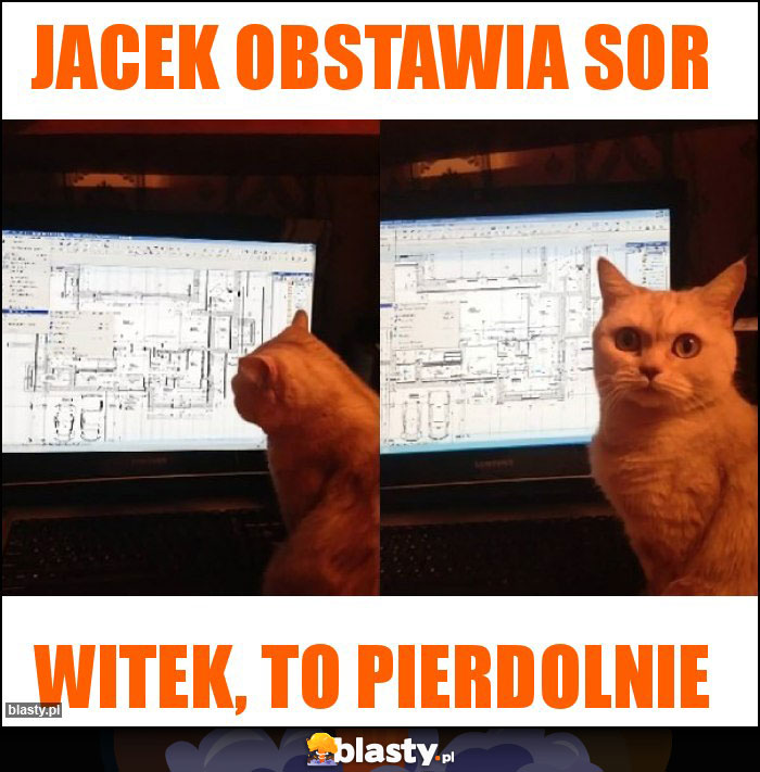 Jacek obstawia sor