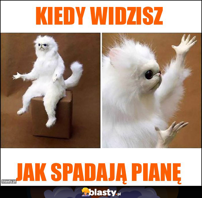 Kiedy widzisz