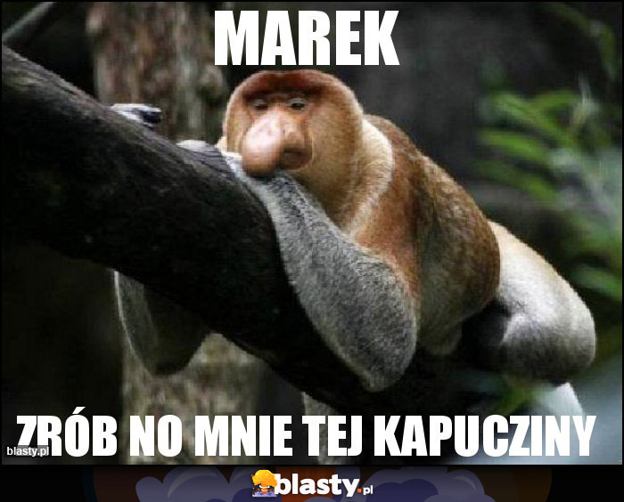 MAREK