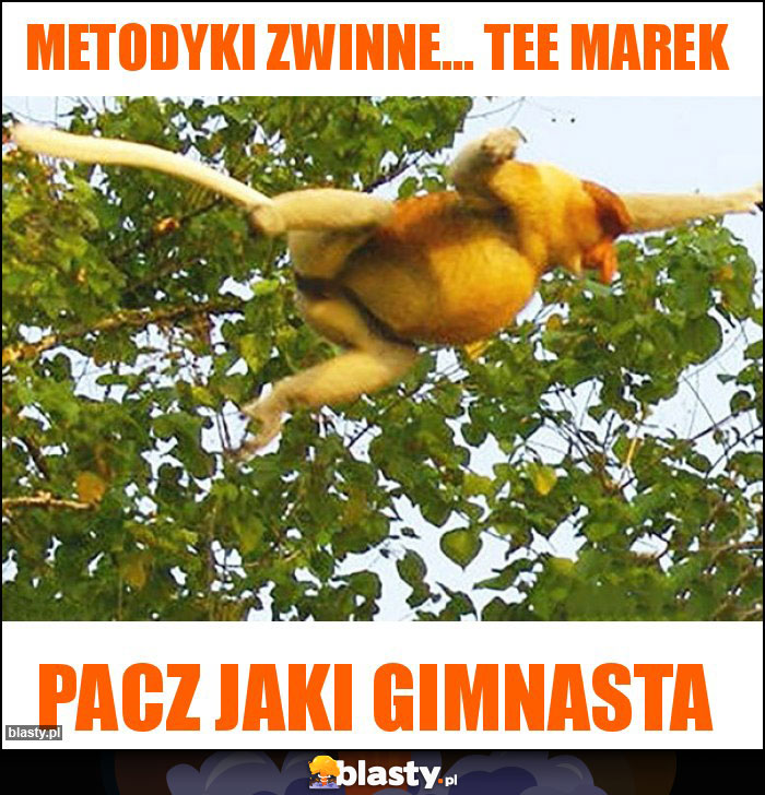 metodyki zwinne... tee Marek