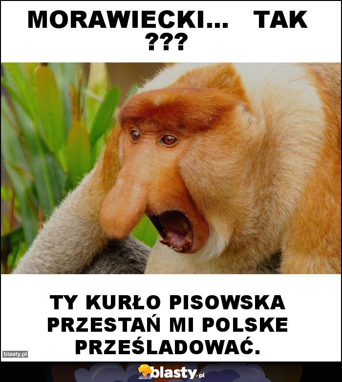 Morawiecki...   Tak ???