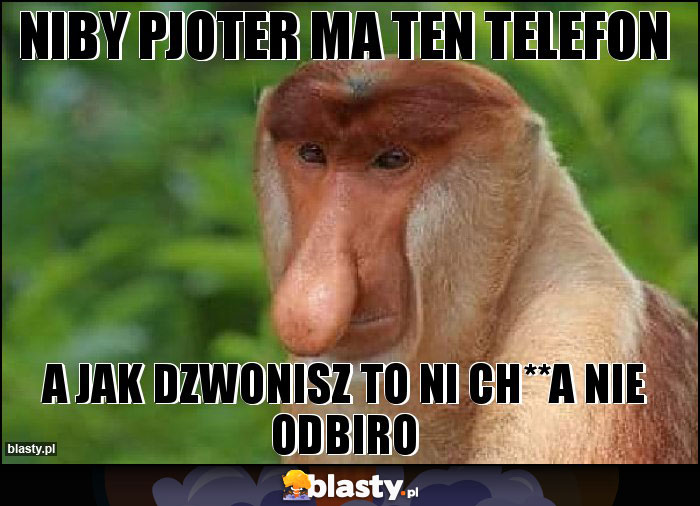 Niby Pjoter ma ten telefon